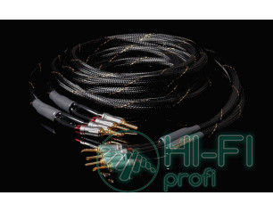 Кабель акустический HiDiamond Speaker Diamond 1 (2 x 3m)