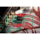 Кабель акустичний Nordost Red Dawn, Z-plugs, 2 x 3.0 м фото 4