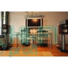 Акустическая система Monitor Audio Platinum PL 100 Rosewood фото 2