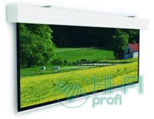 Экран Projecta Elpro Large Electrol 316x500cm