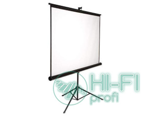 Экран AV Screen 3V084MTV(4:3,84