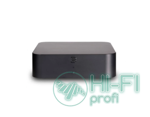 Bluesound Hub