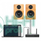 Сетевой усилитель Arylic A30+ Wireless Stereo Mini Amplifier фото 3