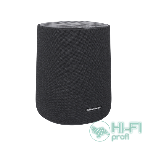 Портативні колонки Hi-Fi HARMAN MULTIMEDIA Encahnt Speaker