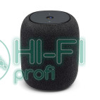 Портативные колонки Hi Fi JBL LINK MUSIC фото 4