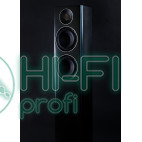 Підлогова акустика ELAC ELAC Carina FS 247.4 BlackSatin фото 2