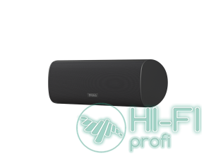 Центральная акустика PIEGA Ace Center Wireless BL AN