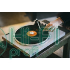 Програвачі вінілу Hi-Fi REKKORD AUDIO F 300 (OM10) фото 2